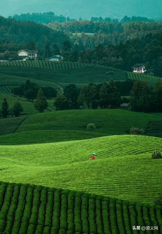 悦·遵义 │ 遵义1小时旅游圈攻略！以红色为魂，揽尽山水人文风情