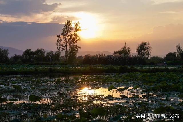 看美丽的日落，就来晋宁的“东岸落日营地”