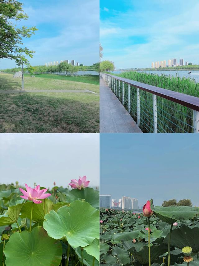 安徽·宿州｜必去五大景点