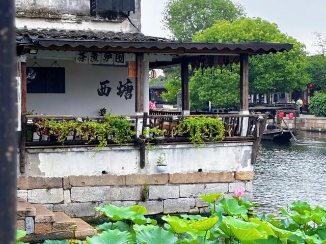 各地福利升级!凭“浙BA”门票可享受这些优惠(附今晚赛程)