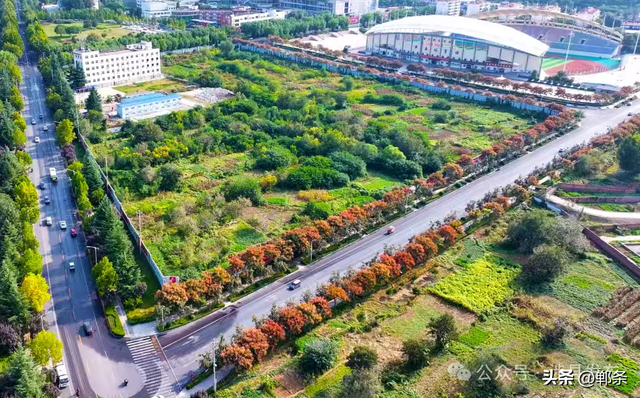 涉县：美拉德配色里，藏着橙黄橘绿的诗意