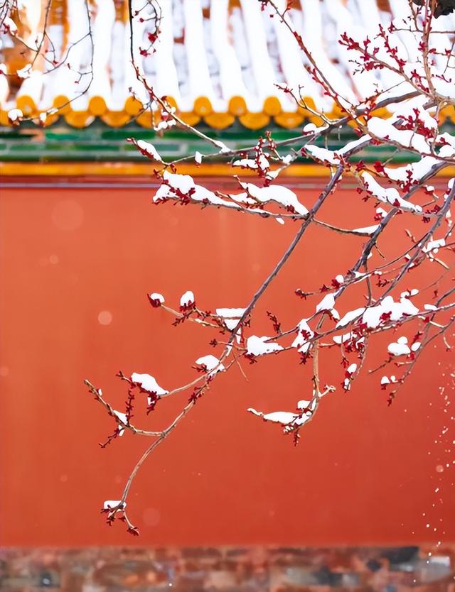 北京初雪 “稳了”！没想到：故宫本周六门票，秒光！