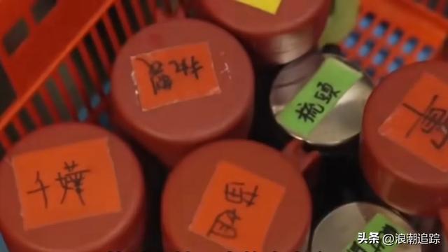她一出场，香港影坛全体起立，掌声持续三分钟未歇，无人敢坐