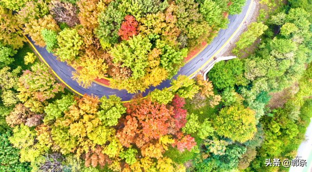 涉县：美拉德配色里，藏着橙黄橘绿的诗意