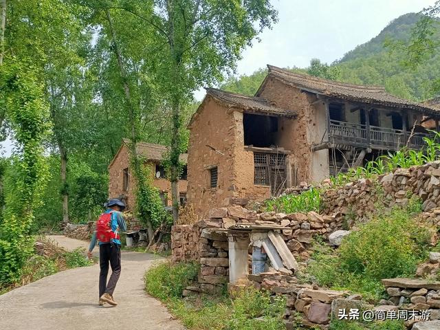 7）山西阳城析城山圣王坪，在云端草甸邂逅狼毒花的美，与千年传