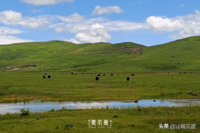 川西若尔盖大草原环线自驾攻略