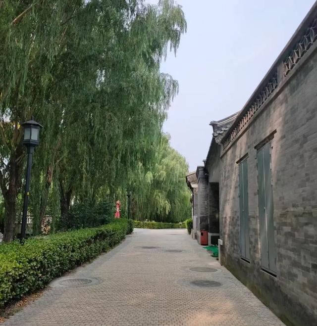 王林平随笔《置身北海》