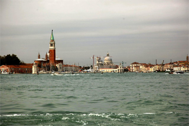 柳笛||一个向海而生的奇迹