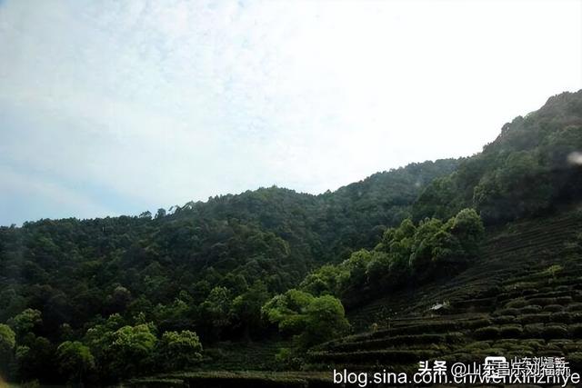 杭州324路公交车沿途风光（皖浙沪旅游122）
