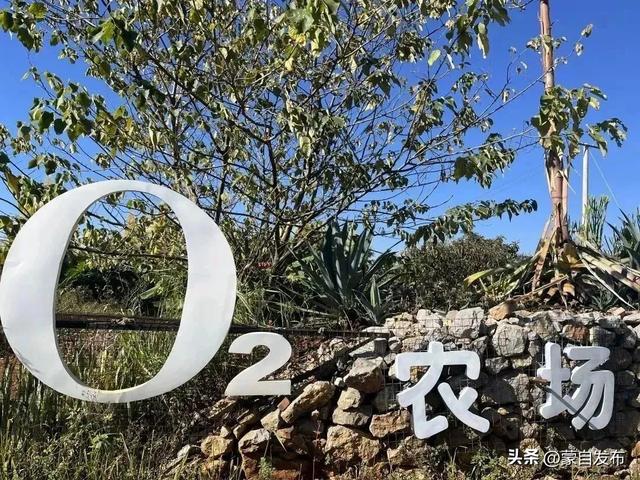 跟着赛事游蒙自 | 专“暑”于你的诗画乡村之旅