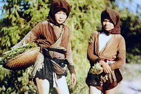 越南怪谈：一个国家跟中国一个省大，为什么越南能分出60个省？图片