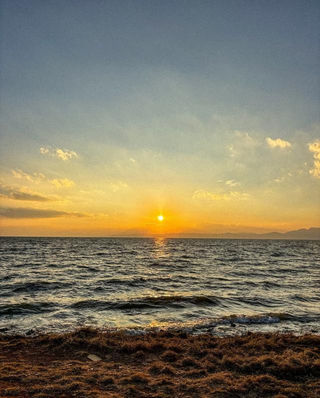 江尾村水杉林漫步