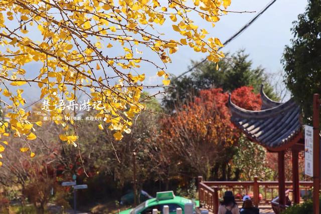 雪窦山深处的古村，周边的红枫胜境太美了，弥勒大佛观景地是亮点