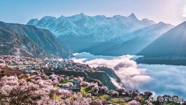 下月即将开爆！这才是 “中国最美春天”，一年仅20天可遇！