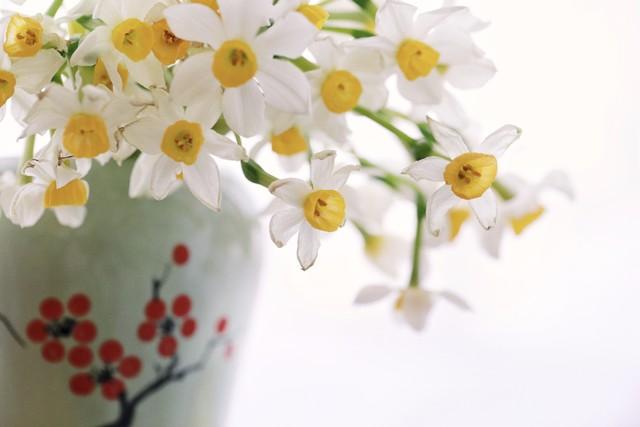 七十岁以上的老人，必备的四样物件，你知道是什么吗？