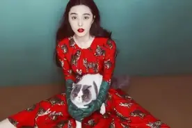 5位劣迹艺人复出失败，评论区翻车，演出遭取消，全部遭到抵制图片