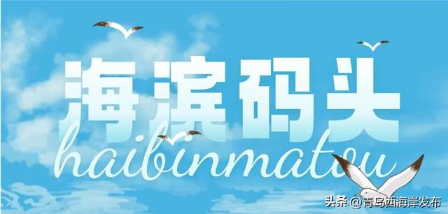 “鸥”耶！西海岸来了一批“老朋友”！