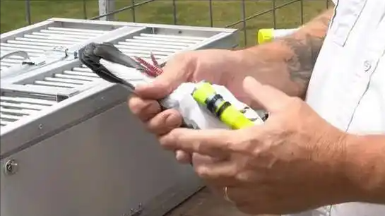 千兆光纤还没鸽子快？程序员把鸽子接入互联网，标准被官方盖章？