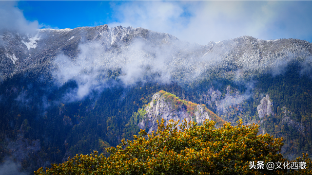 第一次去西藏来这里，雪山森林，天然氧吧！