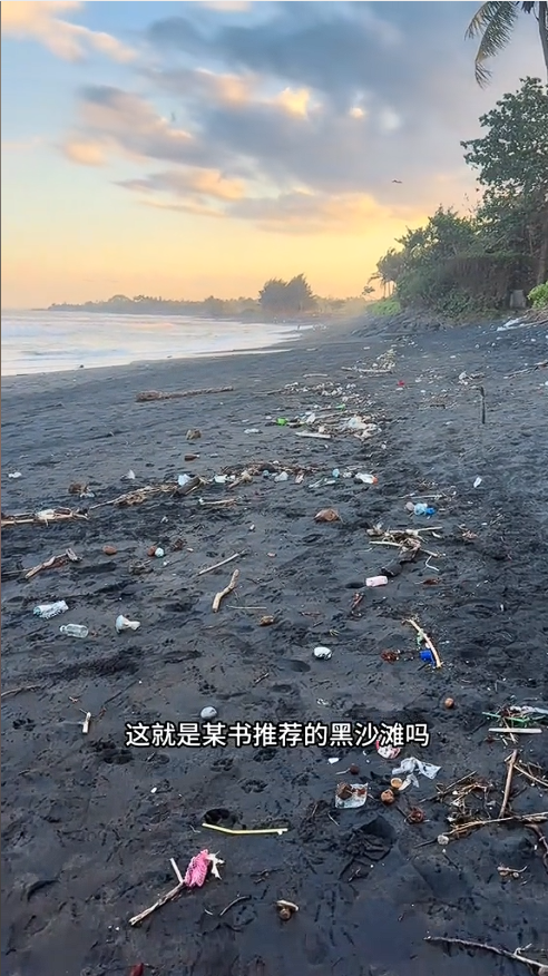 血亏！中国小伙攒钱去巴厘岛，路是烂的 遍地垃圾，还得吃“狗粮”