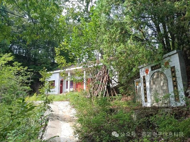 洛南山河可爱,王岭四岔除外