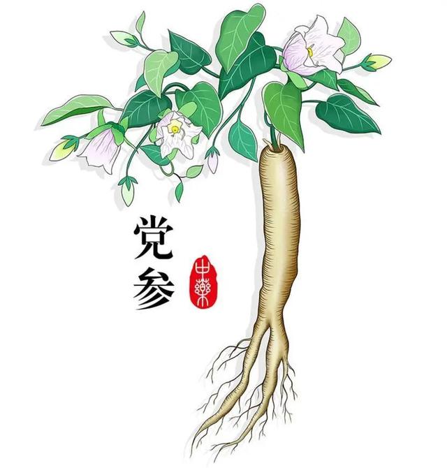 肾虚脱发——请收好这个厉害的方法
