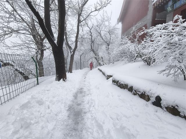 雪霁云海涌 泰山披银装