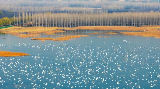 河南冬景上新，藏不住了！