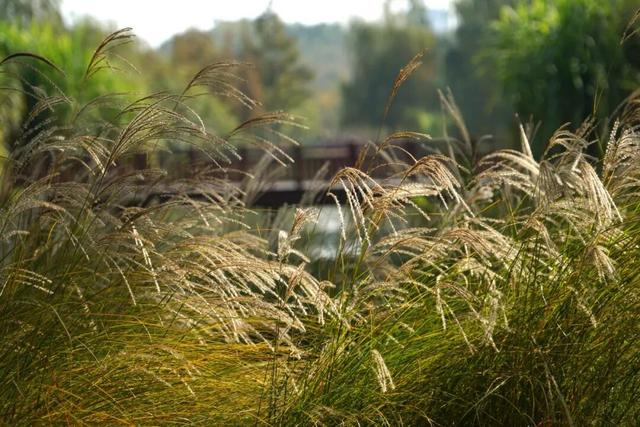 爱你老己，周末仁寿见！