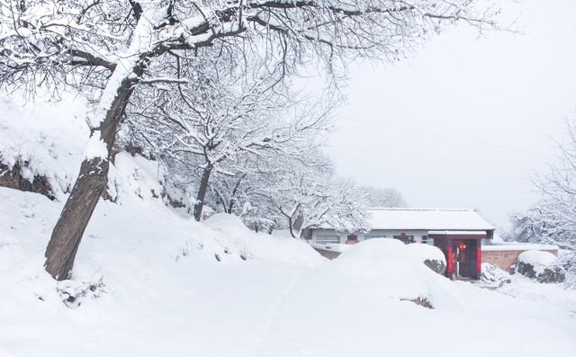 “不怕重阳阴一天，就怕重阳一天晴”，今日重阳，晴天有啥预兆？