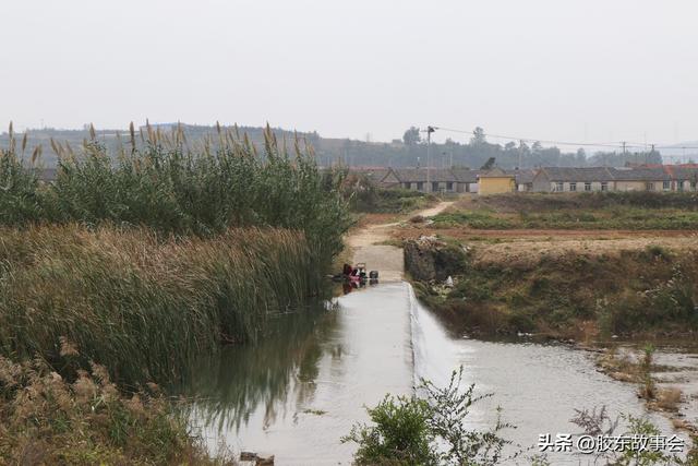 组图：牟平玉林店镇尺坎村掠影，河畔风光有特色，村里还有寿星