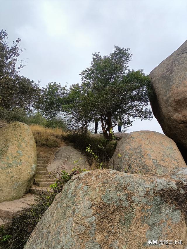 灵山石树感触到的（一）