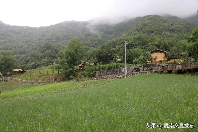 炎炎夏季 来文县铁楼藏族乡享清凉时光