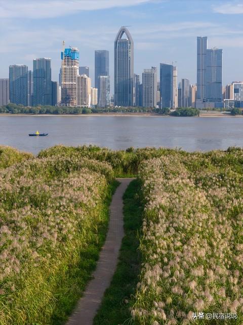 武汉不止这五千亩红叶，最大赏秋地绝了！