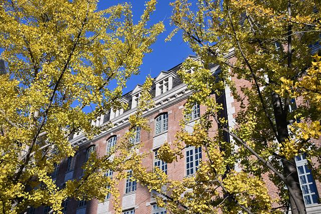 600元国产定焦，四种题材可玩性如何？体验铭匠Z口镜头23mm F1.8