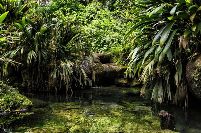 美国航母逼宫委内瑞拉？63%美国人反对开战，没人愿为战争买单！