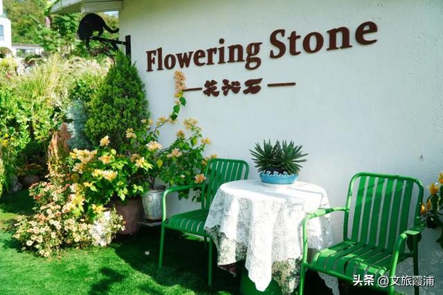 霞浦花沁石,海边莫奈花园的秋冬独属烂漫