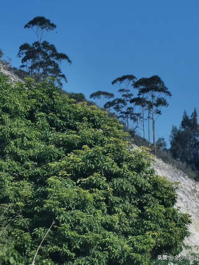 从海丰城到惠东，​一路上美景不断，双龙连续三年千里走双骑14