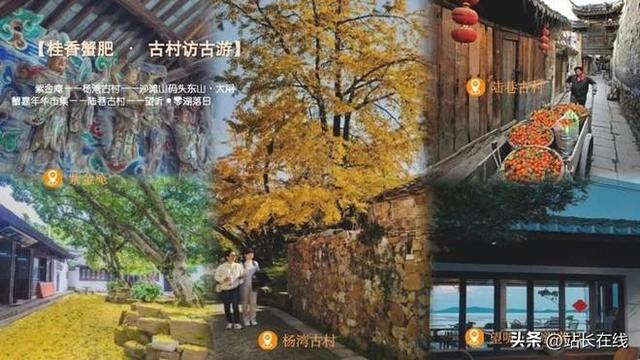 赏秋景、品蟹香 吴中东山大闸蟹嘉年华嗨翻太湖畔