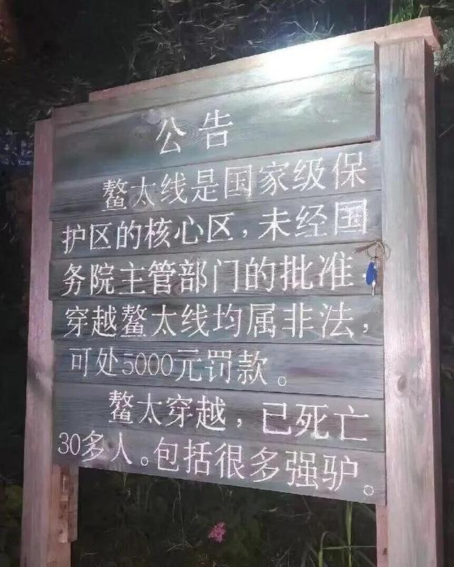 这个徒步圈顶流，国内死亡率最高的“夺命路线”！为何仍有人尝试