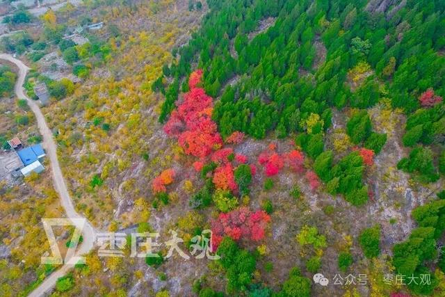 实拍枣庄红叶掩映井字峪玉皇庙