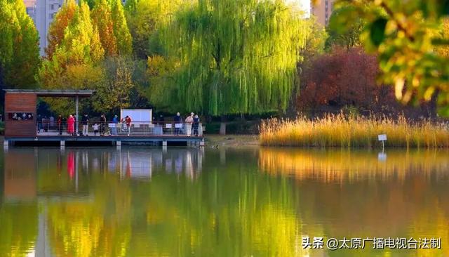 太原创森|赏“秋”正当时！来太原这个公园遇见最美秋日