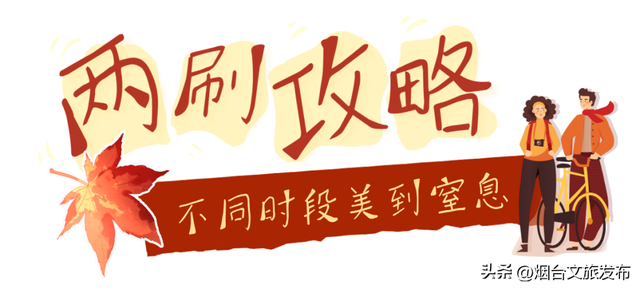 【乐游烟台】最新实拍！烟台鱼鸟河“顶级秋色”加载中