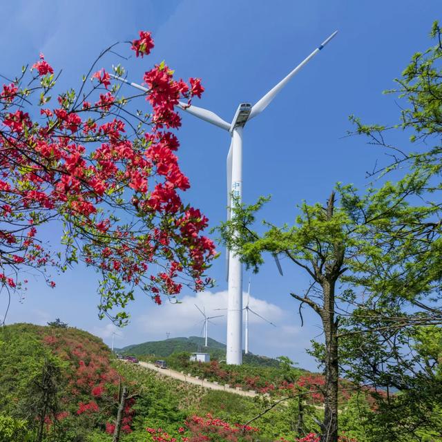 秋冬遛娃“药”新鲜!能吃能玩还能“养”,这条游玩路线一站式拿捏