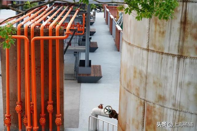 杨浦3处上榜！这些“家门口的好去处”，你打卡了吗？