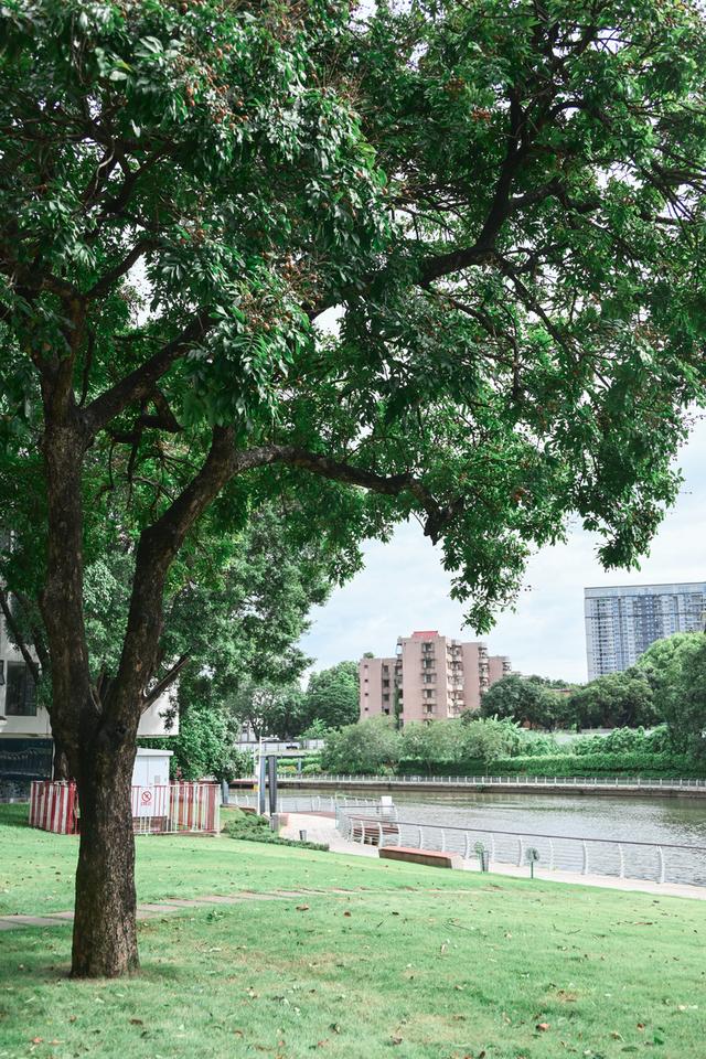 深活指南｜城市漫游指南·光明站