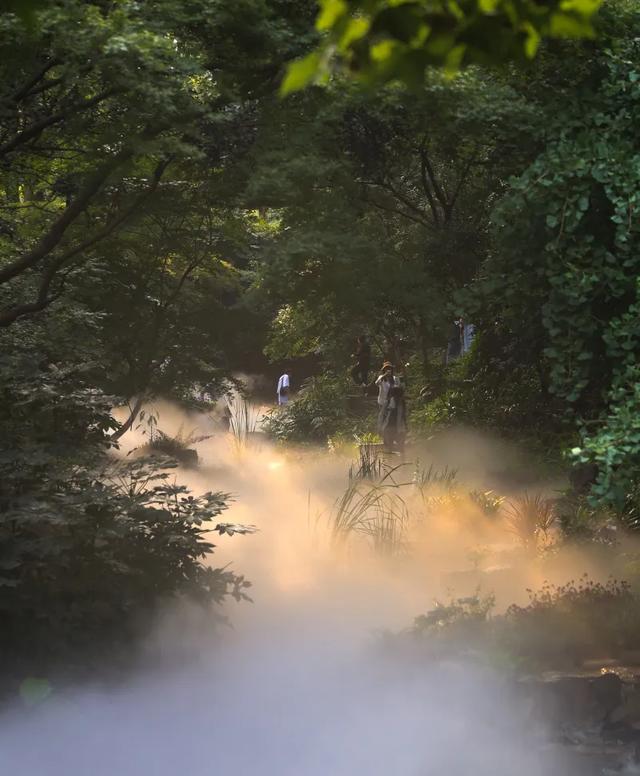 养鹤涧！虎丘今夏捧出的“清凉秘境”！