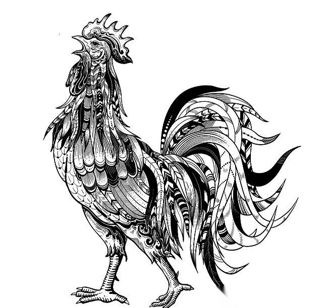 属鸡人最大的坎，不是心思细！今年特别注意，三大毛病不改真吃亏