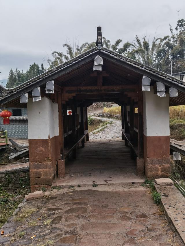镇沅县：千年茶脉与千年古道交织的茶乡