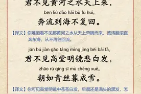 《将进酒》全文带拼音详细译文版图片